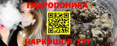 прущие грибы Кандалакша