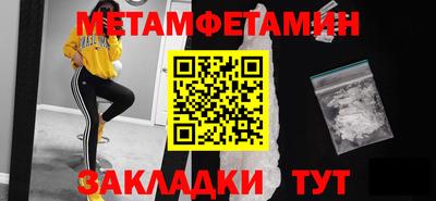 прущие грибы Кандалакша