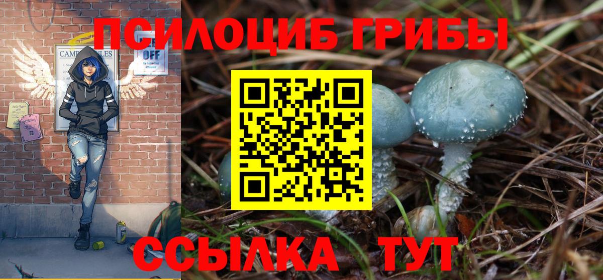 Каменка  что такое наркотик  Вход с VPN  Галлюциногенные грибы GOLDEN TEACHER 