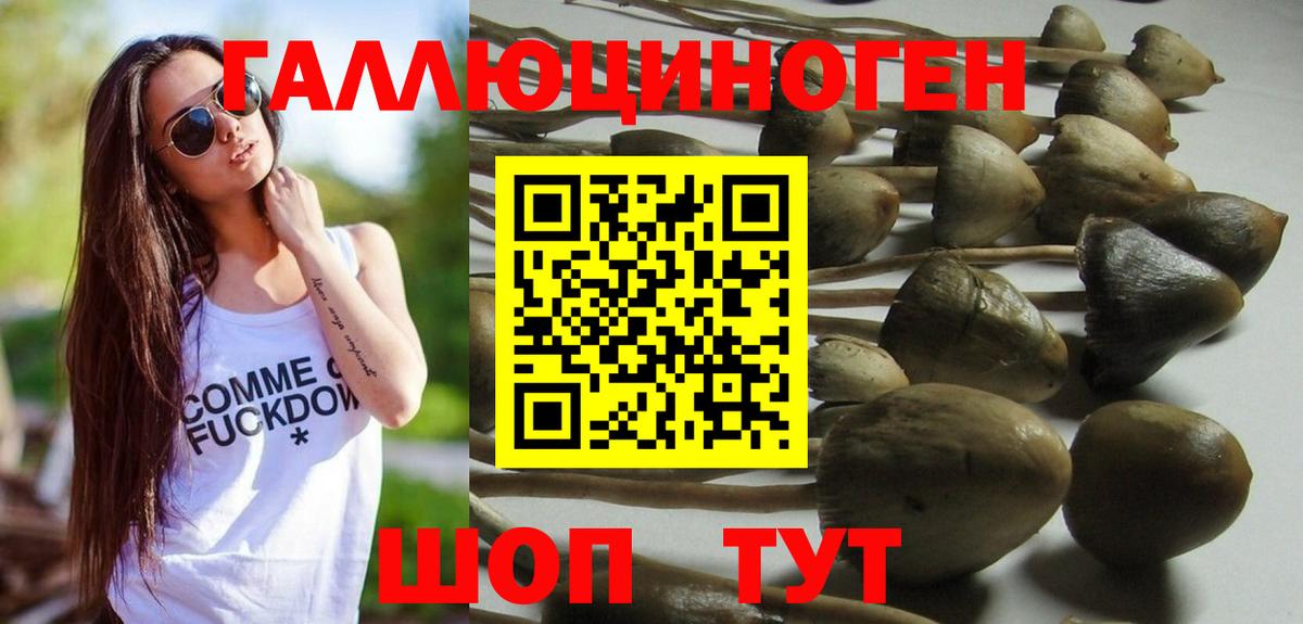 Псилоцибиновые грибы прущие грибы Каменка